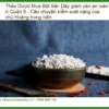 Mua Bột Sắn Dây giảm cân an toàn ở Quận 8 - Địa chỉ Bán Giao nhanh