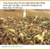 Trà Sơn Mật Hồng Sâm 500g chính gốc Tây Bắc - Địa chỉ Bán Giao nhanh TPHCM