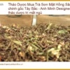 Trà Sơn Mật Hồng Sâm 500g chính gốc Tây Bắc - Địa chỉ bán tại TPHCM