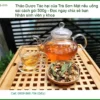 Tác hại của Trà Sơn Mật nếu uống sai cách gói 500g - Địa chỉ Bán Giao nhanh
