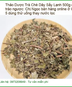 Trà Chè Dây Sấy Lạnh 500g chữa trào ngược - Đơn vị Cung cấp Có sẵn