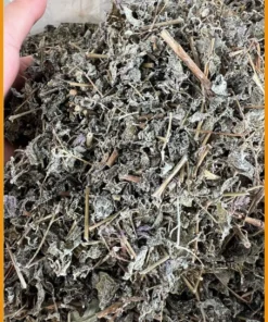 Trà Chè Dây Túi Lọc Cao Bằng Hộp 500g - Địa chỉ Bán Giao nhanh TPHCM
