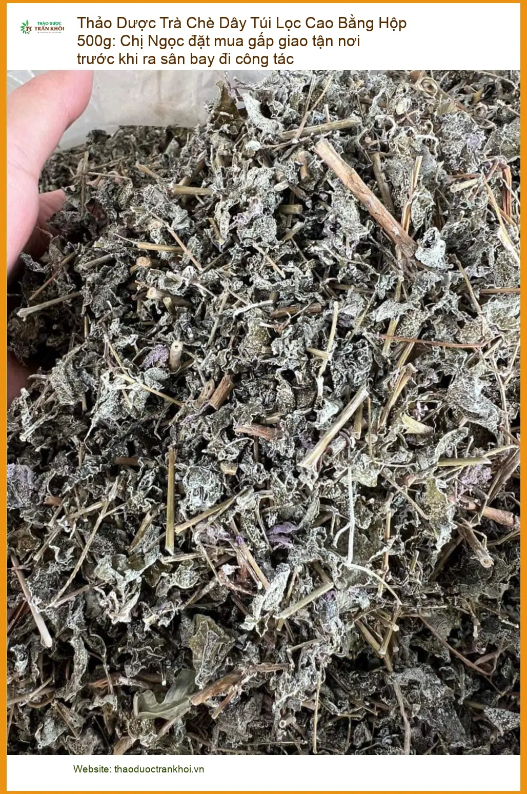 Trà Chè Dây Túi Lọc Cao Bằng Hộp 500g - Địa chỉ Bán Giao nhanh TPHCM