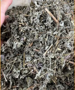 Trà Chè Dây Túi Lọc Cao Bằng Hộp 500g - Địa chỉ Bán Giao nhanh TPHCM