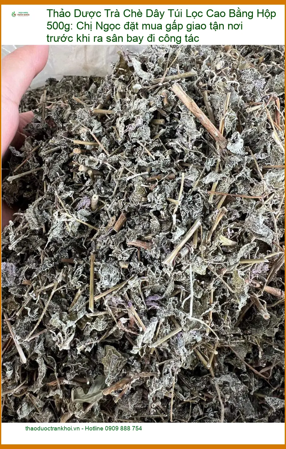 Trà Chè Dây Túi Lọc Cao Bằng Hộp 500g - Địa chỉ Bán Giao nhanh TPHCM