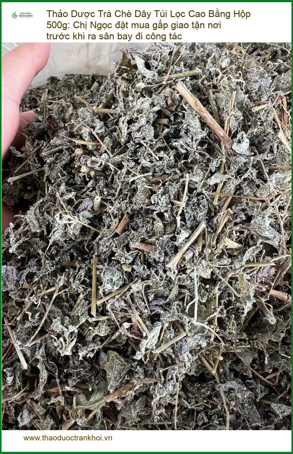 Trà Chè Dây Túi Lọc Cao Bằng Hộp 500g - Địa chỉ bán giao nhanh TPHCM