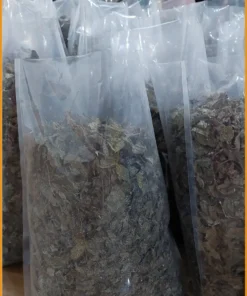 Trà Chè Dây Túi Lọc Hộp 250g chính gốc Cao Bằng - Cung cấp có sẵn TPHCM