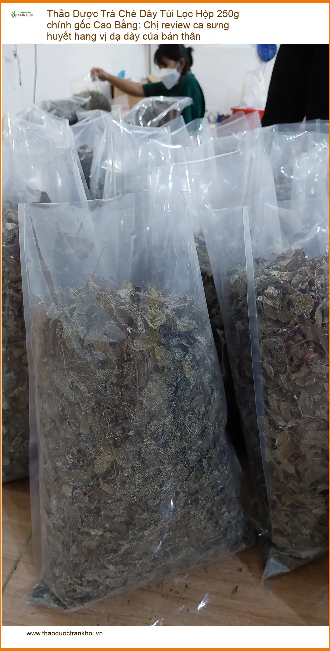Trà Chè Dây Túi Lọc 250g Cao Bằng, review dạ dày - Địa chỉ bán giao nhanh HCM