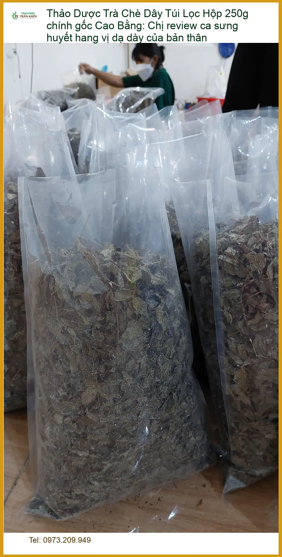 Trà Chè Dây Túi Lọc Hộp 250g chính gốc Cao Bằng: Chị Thảo review ca sưng huyết hang vị dạ dày của bản thân - Địa chỉ Bán Giao nhanh TPHCM
