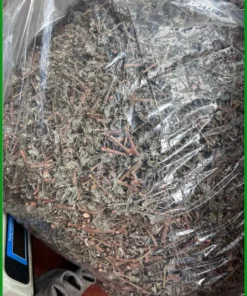 Trà Chè Dây Túi Lọc Hộp 500g trị viêm dạ dày - Địa chỉ Bán Giao nhanh TPHCM