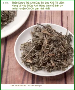 Trà Chè Dây Túi Lọc Khô Trị Viêm Hang Vị Hộp 500g - Bán Giao nhanh HCM
