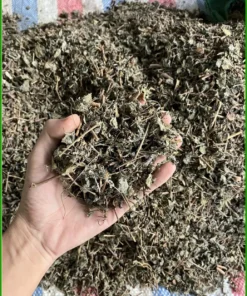 Trà Chè Dây Túi Lọc Thượng Hạng Hộp 250g - Địa chỉ bán giao nhanh TPHCM