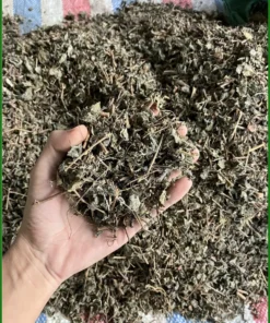 Trà Chè Dây Túi Lọc Thượng Hạng Hộp 250g - Địa chỉ bán giao nhanh TPHCM