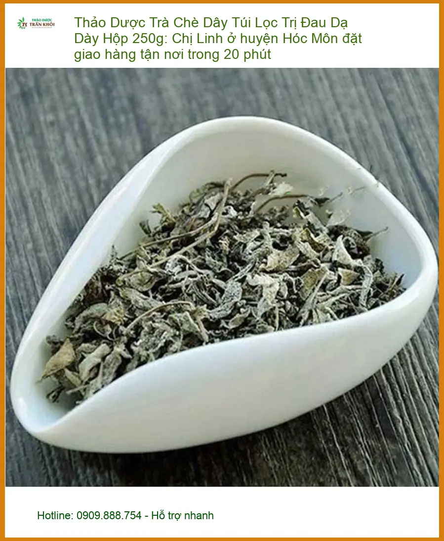 Trà Chè Dây Túi Lọc Trị Đau Dạ Dày Hộp 250g - Đơn vị cung cấp sỉ lẻ giao nhanh TPHCM