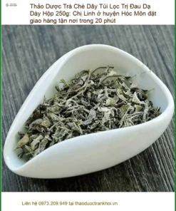 Trà Chè Dây Túi Lọc Trị Đau Dạ Dày Hộp 250g - Cung Cấp & Giao Nhanh Tận Nơi Hóc Môn