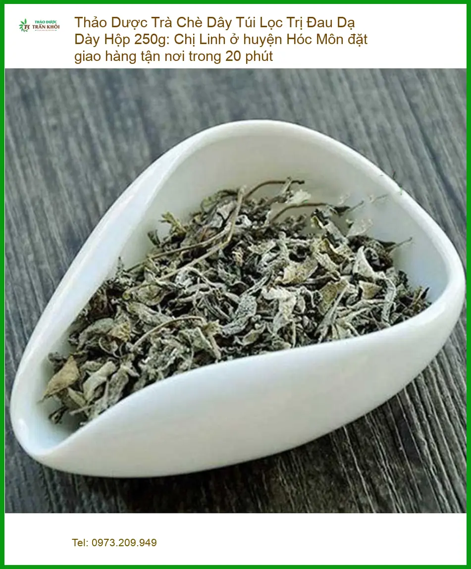 Trà Chè Dây Túi Lọc Trị Đau Dạ Dày Hộp 250g - Đơn vị Cung cấp Có sẵn tại TPHCM