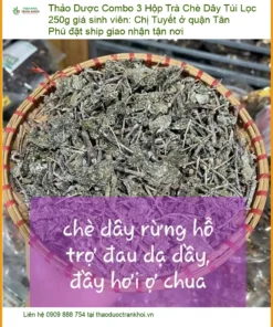 Combo 3 Hộp Trà Chè Dây Túi Lọc 250g giá sinh viên - TPHCM Cung cấp Giao nhanh