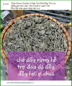 Combo 3 Hộp Trà Chè Dây Túi Lọc 250g giá sinh viên - Bán có sẵn TPHCM