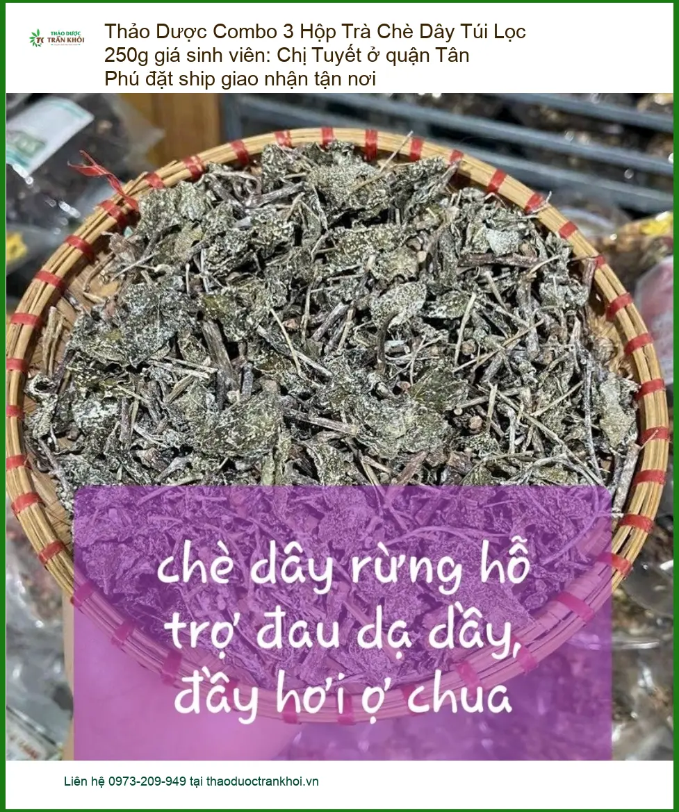 Combo 3 Hộp Trà Chè Dây Túi Lọc 250g giá sinh viên - Bán có sẵn TPHCM