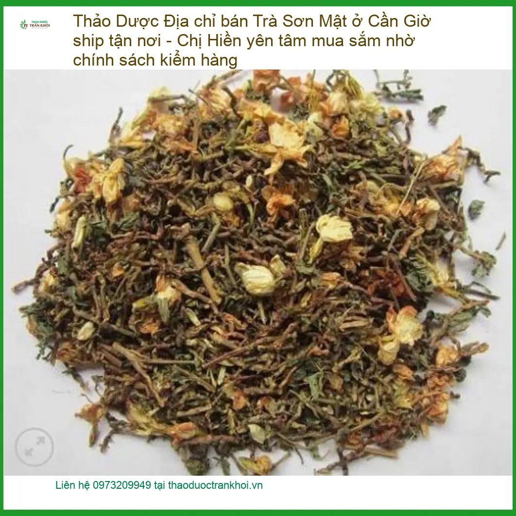 Địa chỉ bán Trà Sơn Mật ở Cần Giờ ship tận nơi - Địa chỉ Bán Giao nhanh