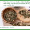 Trà Sơn Mật ở Nhà Bè giao hàng nhanh - Địa chỉ Bán Sỉ lẻ Có sẵn tại TPHCM