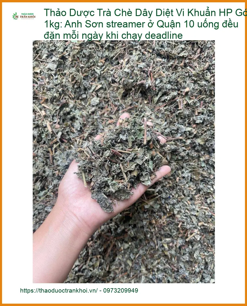 Trà Chè Dây Diệt Vi Khuẩn HP Gói 1kg - Đơn vị cung cấp có sẵn TPHCM
