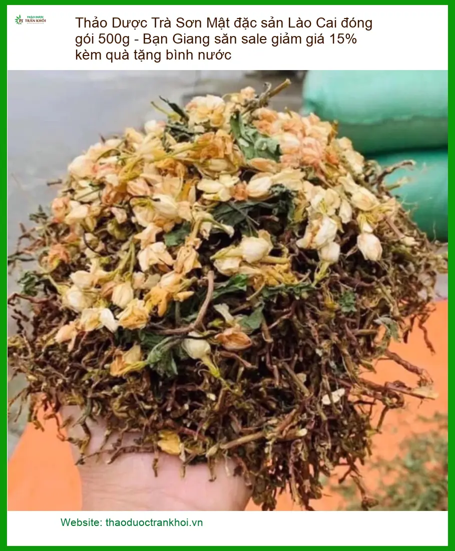 Trà Sơn Mật đặc sản Lào Cai đóng gói 500g - Đơn vị cung cấp giao nhanh TPHCM