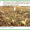 Trà Sơn Mật Hồng Sâm Tâm Sen 1kg tốt huyết áp - Đơn vị bán giao nhanh Quận 11