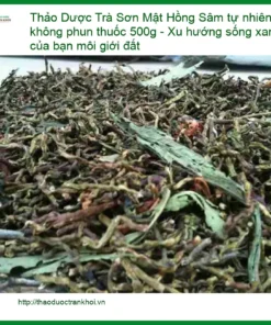 Trà Sơn Mật Hồng Sâm tự nhiên không phun thuốc 500g - Địa chỉ bán Sài Gòn