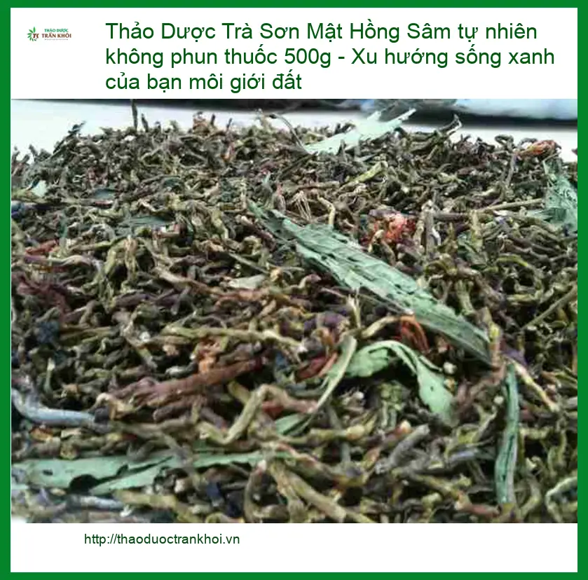 Trà Sơn Mật Hồng Sâm tự nhiên không phun thuốc 500g - Địa chỉ bán Sài Gòn