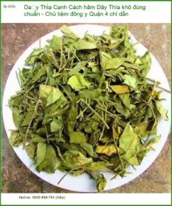 Cách hãm Dây Thìa Canh khô đúng chuẩn - Chủ tiệm đông y Quận 4 chỉ dẫn