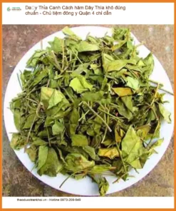 Cách hãm Dây Thìa Canh khô đúng chuẩn - Chủ tiệm đông y Quận 4 chỉ dẫn - Địa chỉ Bán