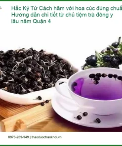 Cách hãm Hắc Kỷ Tử với hoa cúc đúng chuẩn - Địa chỉ Bán Giao nhanh TPHCM