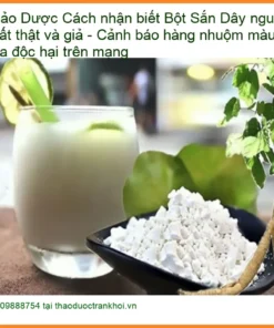 Bột Sắn Dây nguyên chất thật và giả - Đơn vị cung cấp sỉ lẻ có sẵn TPHCM