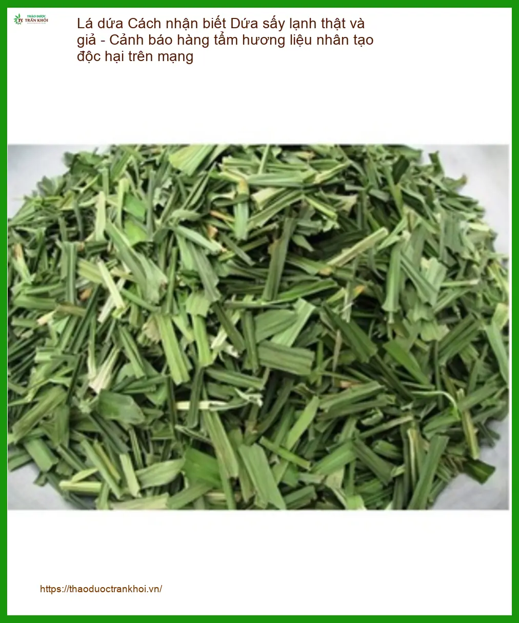 Cách nhận biết Lá Dứa sấy lạnh thật giả - Địa chỉ Bán Giao nhanh TPHCM
