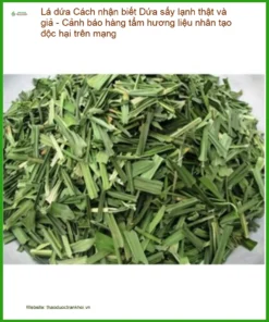 Cách nhận biết Lá Dứa sấy lạnh thật và giả - Đơn vị Cung cấp Giao nhanh TPHCM