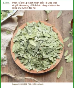 Phan Tả Diệp thật giả - Cảnh báo độc hại - Địa chỉ Bán Có sẵn tại TPHCM