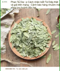 Cách nhận biết Phan Tả Diệp thật giả - Đơn vị Cung cấp Có sẵn TPHCM