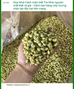Trà Hoa Nhài nguyên chất: Thật giả, tránh độc hại - Đơn vị Cung cấp Có sẵn