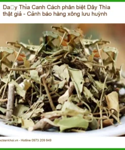 Cách phân biệt Dây Thìa Canh thật giả - Cảnh báo hàng xông lưu huỳnh - Giao nhanh