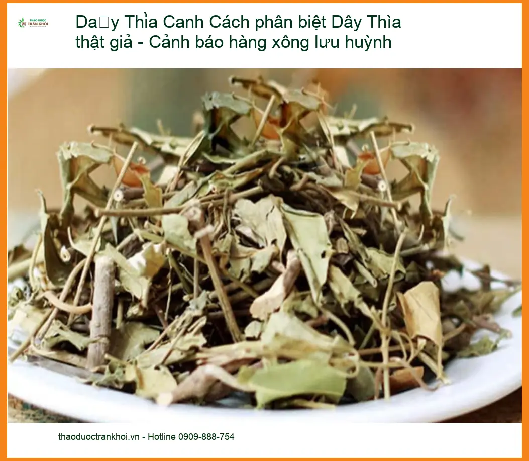 Cách phân biệt Dây Thìa Canh thật giả - Cảnh báo hàng xông lưu huỳnh