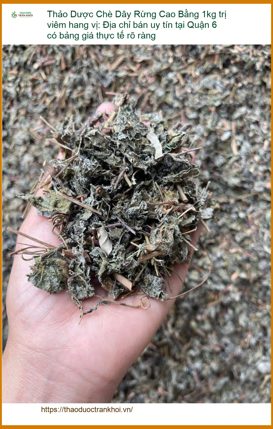 Chè Dây Rừng Cao Bằng 1kg trị viêm hang vị - Địa chỉ Bán Giao nhanh