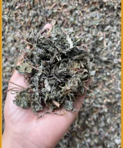 Chè Dây Rừng Cao Bằng 1kg trị viêm hang vị - Địa chỉ bán có sẵn tại Quận 6