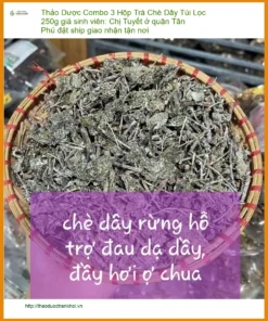 Combo 3 Hộp Trà Chè Dây Túi Lọc 250g giá sinh viên - Địa chỉ bán giao nhanh