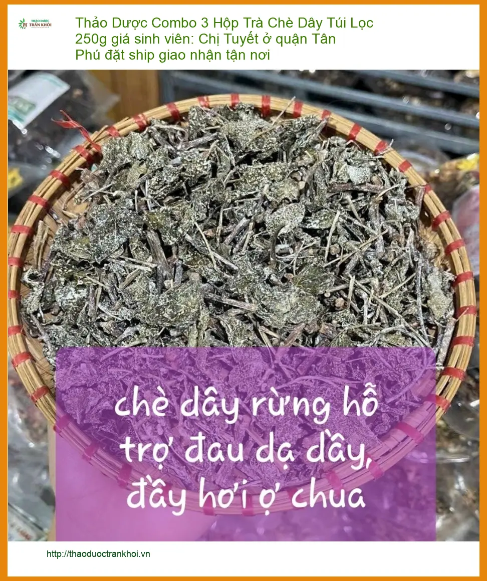 Combo 3 Hộp Trà Chè Dây Túi Lọc 250g giá sinh viên - Địa chỉ bán giao nhanh