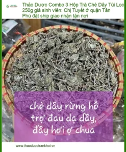 Combo 3 Hộp Trà Chè Dây Túi Lọc 250g - TPHCM Bán Giao nhanh tận nơi