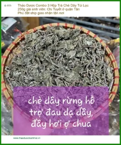 Combo 3 Hộp Trà Chè Dây Túi Lọc 250g giá sinh viên - TPHCM Cung cấp