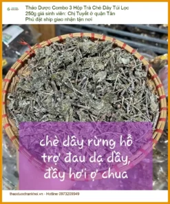 Combo 3 Hộp Trà Chè Dây Túi Lọc 250g giá sinh viên | Bán giao nhanh TPHCM