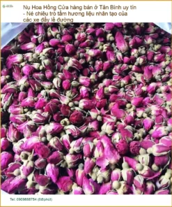 Nụ Hoa Hồng ở Tân Bình uy tín - Địa chỉ bán sỉ lẻ Giao nhanh TPHCM