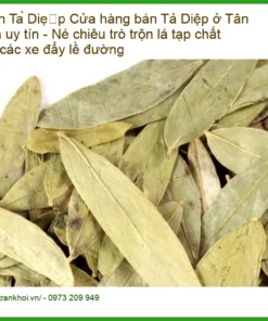 Cửa hàng bán Phan Tả Diệp ở Tân Bình uy tín - Địa chỉ bán sỉ lẻ giao nhanh